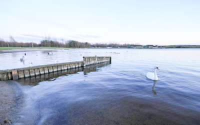 Check your entries for the East District Open Water Championships and Novice Events 2026